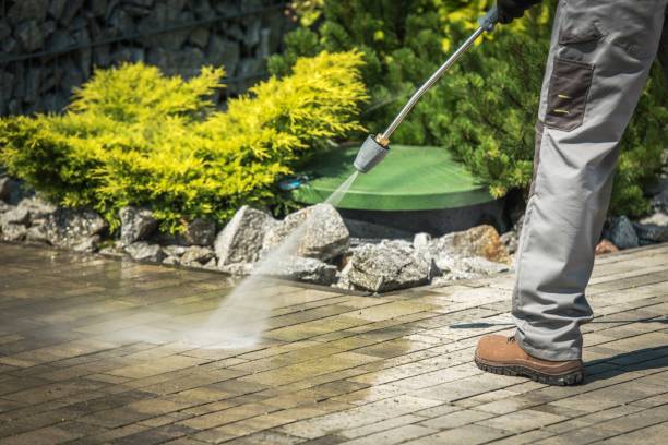  Carson City, NV Pressure Washing Pros